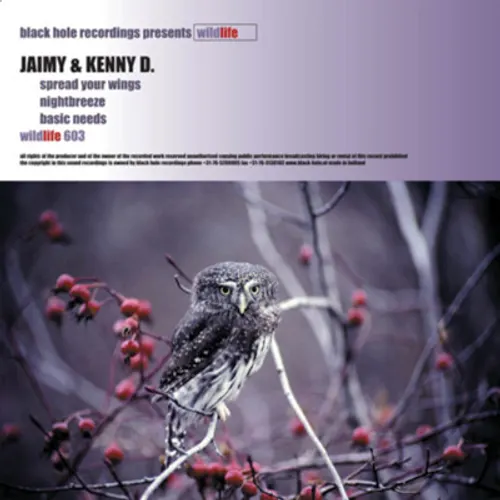 Portada de Spread Your Wings
